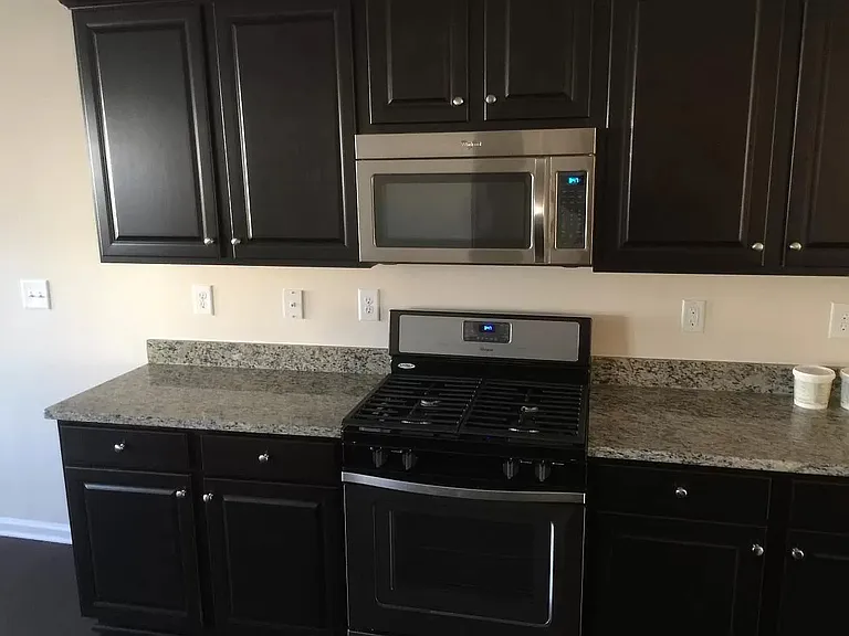1009 Blue Stream Ln — Photo 4