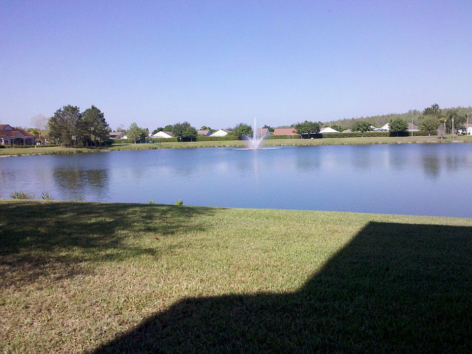 View from Lanai
