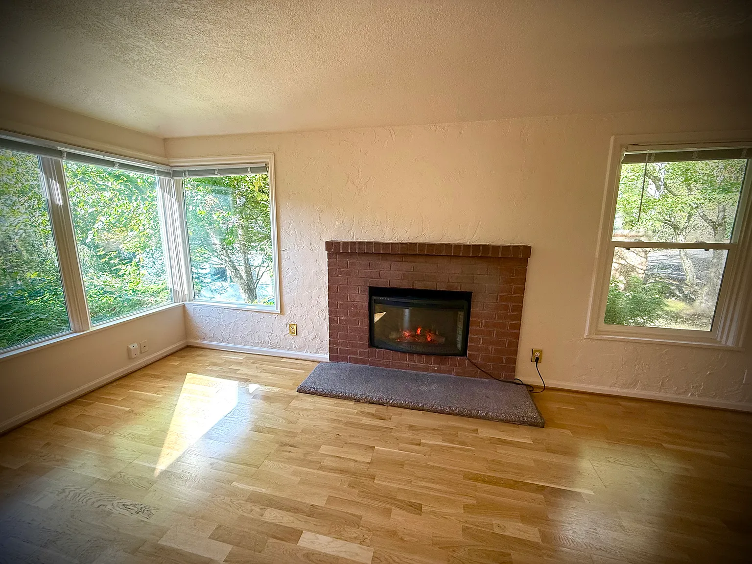1 bed, 575 sqft, $1,500 — Photo 4