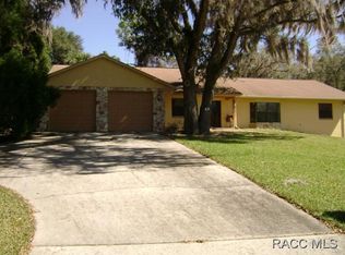 9219 S Mountain Lake Ave, Floral City, FL 34436