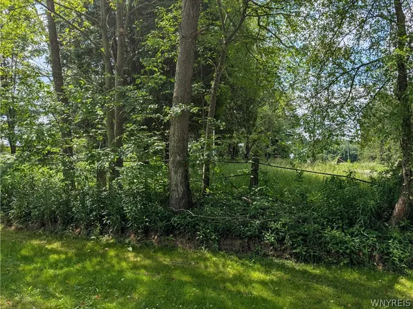 V/l North Hill Rd Lot 14, Charlotte, NY 14782