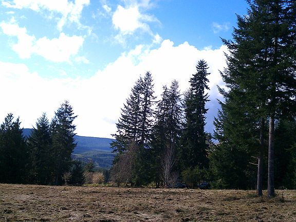 Views from 10 acre pasture