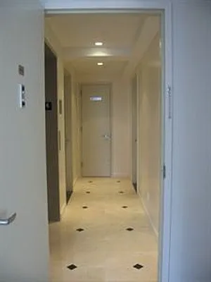 Rented by Douglas Elliman | media 2