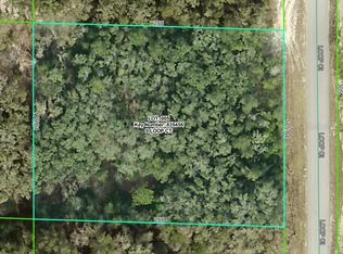 0 Loop Ct LOT 5, Webster, FL 33597