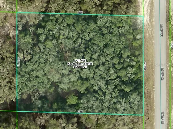0 Loop Ct Lot 5, Webster, FL 33597