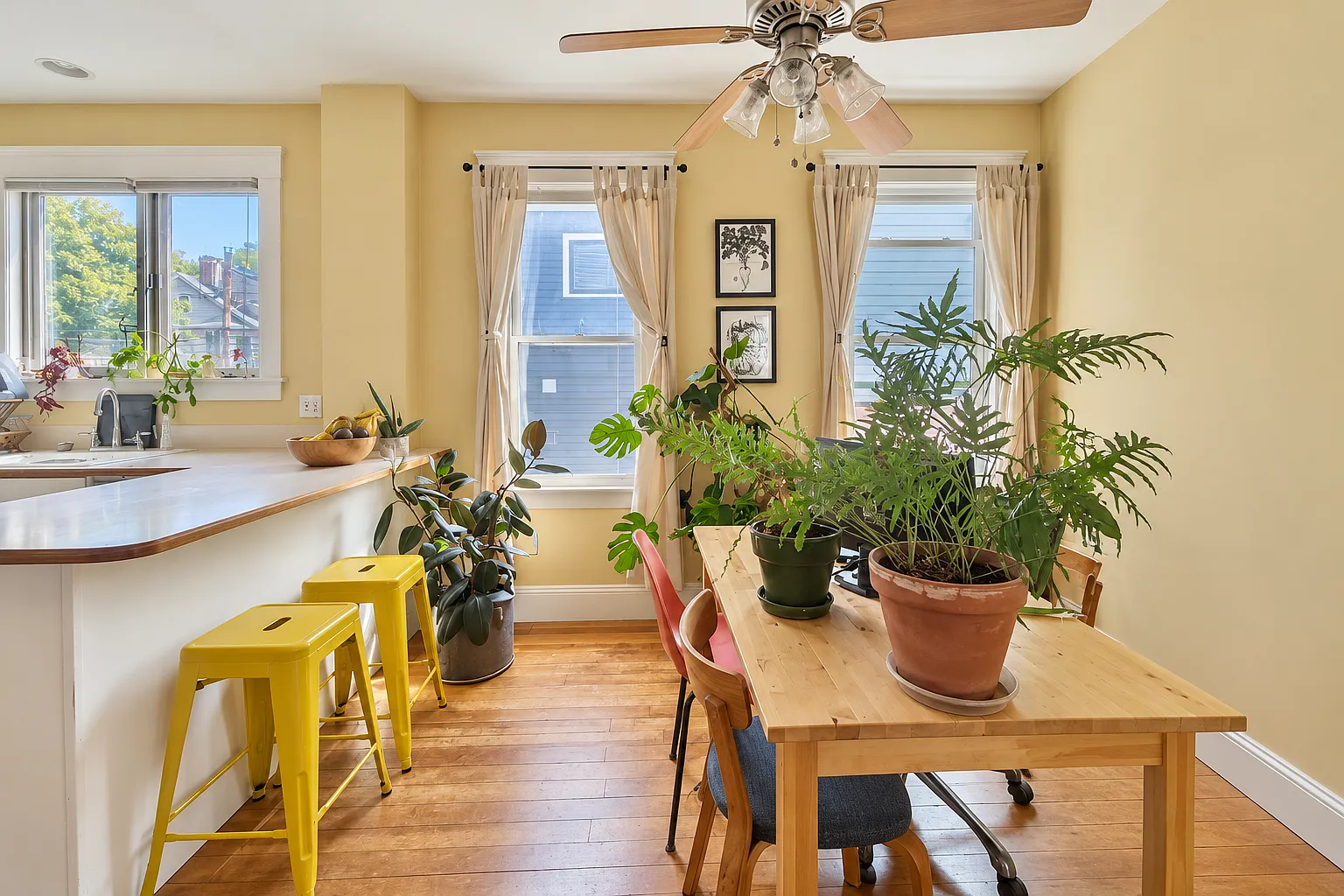 1 bed, 900 sqft, $3,100 — Photo 3