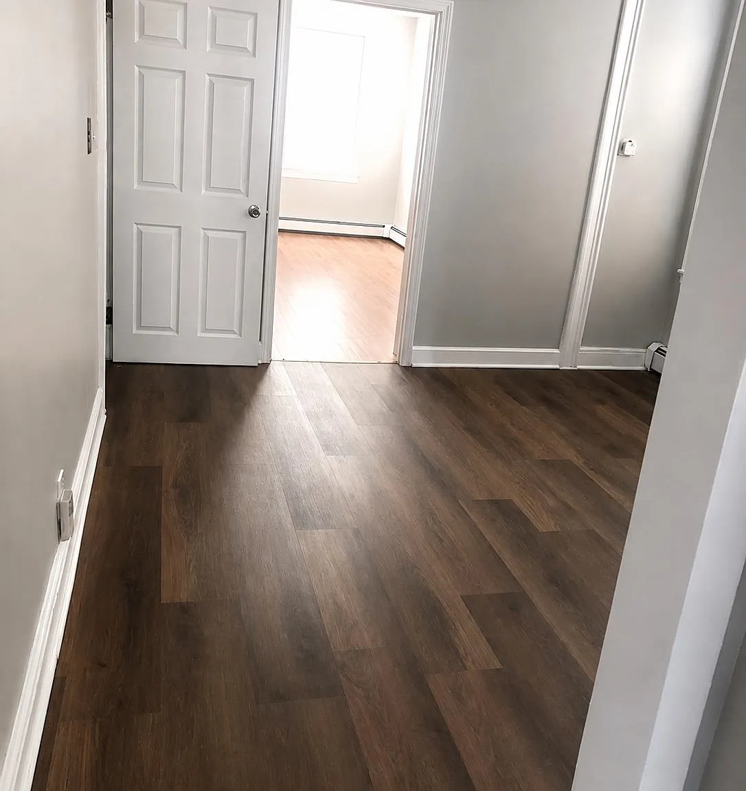 3 bed, 1.0 bath, $2,500 — Photo 4