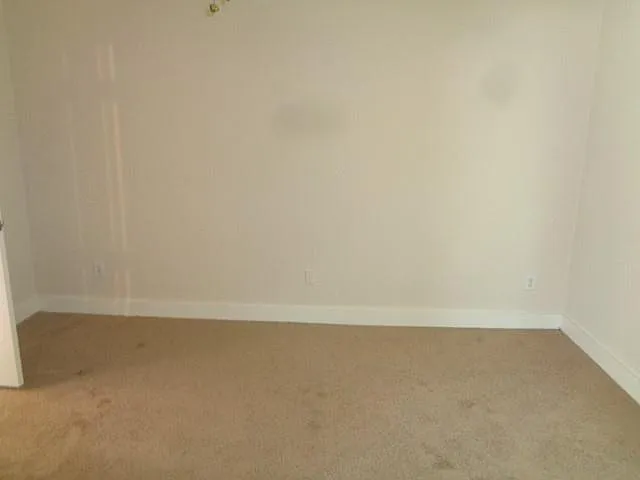 231 Silver Mist Cir — Photo 10