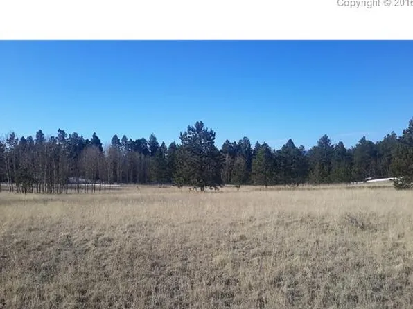1965 Vagabond Creek Dr, Lake George, CO 80827