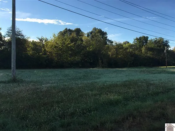 6 Tract Access Rd, Benton, KY 42025