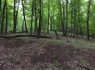 23810 Criders Rd, Criders, VA 22820