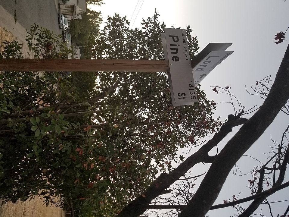 2nd image of 1316 Lord St