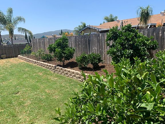 Enclosed back yard with producing Citrus Trees