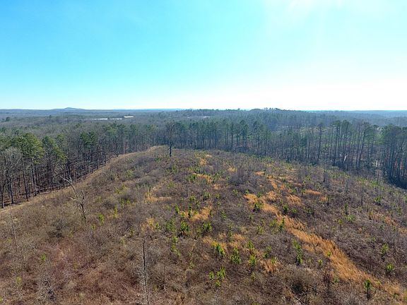 4th image of 3363 Steadman Rd