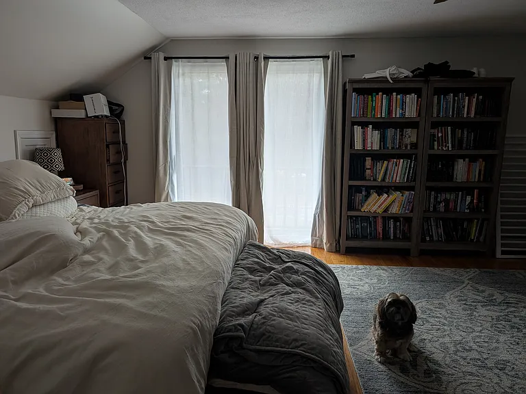 43 Pinelock Dr — Photo 24