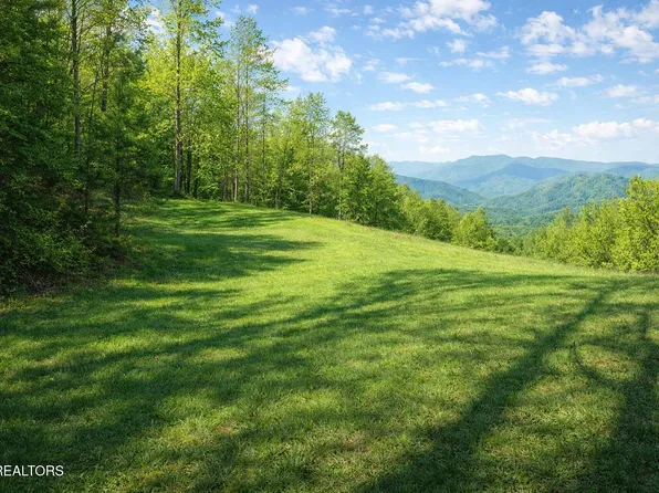 LOT 41 Black Maple Way, Del Rio, TN 37727