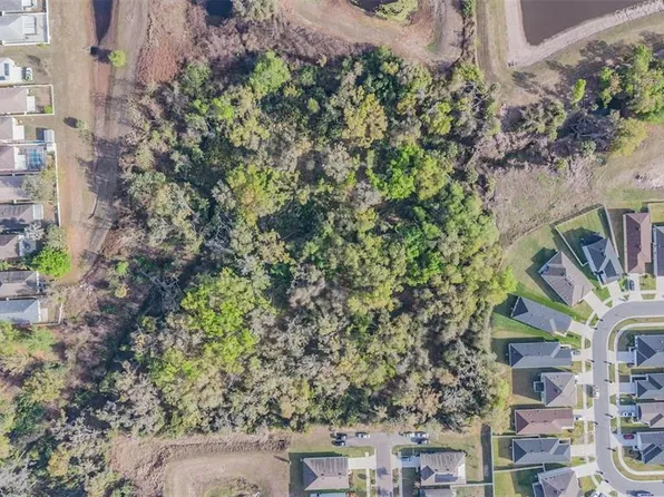 Miracle Mile Dr, Riverview, FL 33578