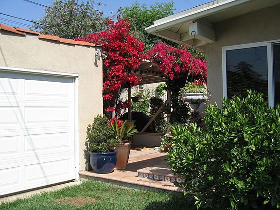 Back yard/garage area