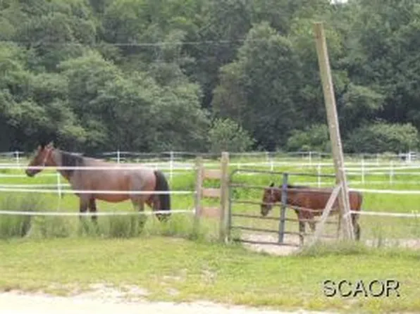29181 Waller Rd, Delmar, MD 21875