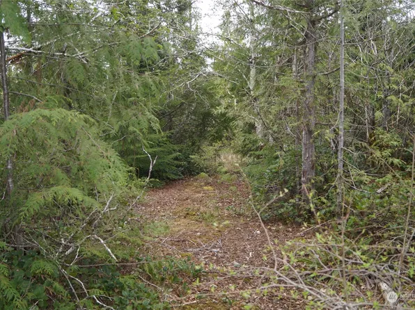 0 Off of US Highway 101, Amanda Park, WA 98526