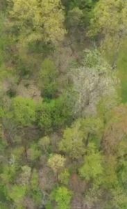 982-983 Peach Dr, Jamestown, PA, 16134