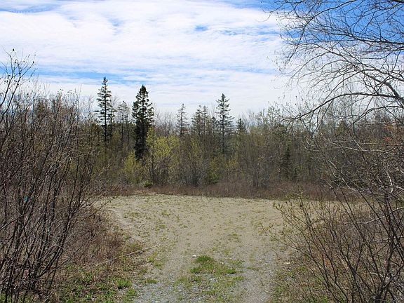 4th image of Mary Jane Riley Rd Lot 1