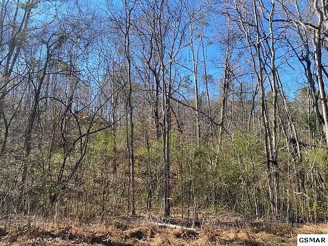 1st image of 46 Silverbell Dr Lot 46