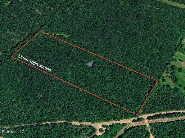 Hamilton Rd, Prentiss, MS 39474