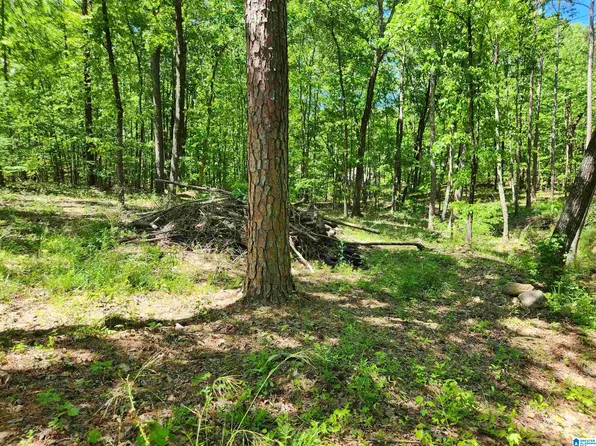 8720 Woodview Ln Lot 6-39, Pinson, AL 35126