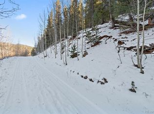 454 Smith Rd, Bailey, CO 80421