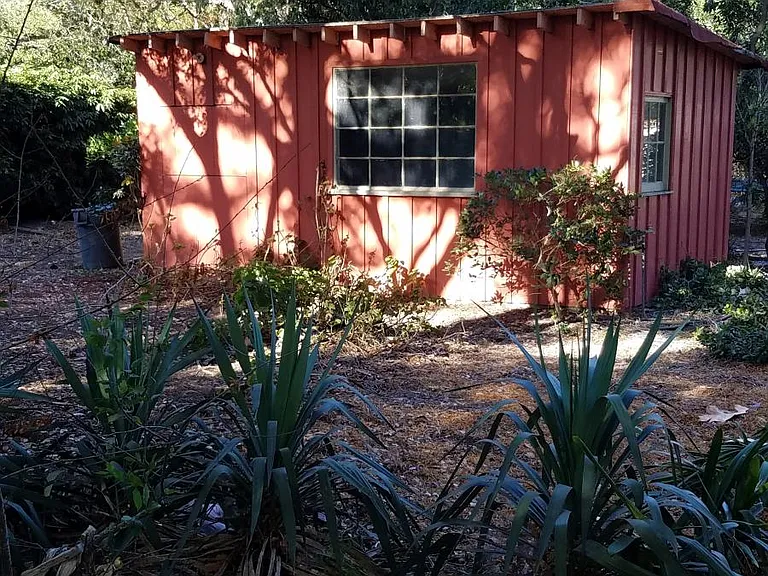 Backyard photo