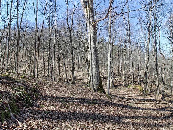 5th image of 0 Township Road 502