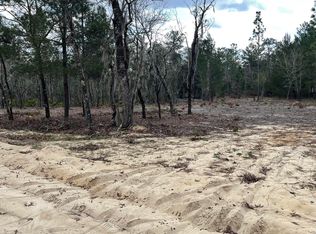 205 LONDON Avenue, Interlachen, FL 32148