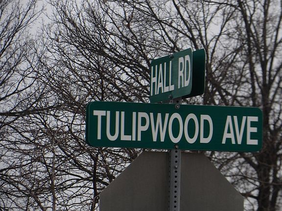 5th image of 21639 Tulipwood St