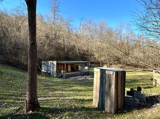 233 Shaw Hollow Rd, New Tazewell, TN 37825