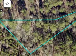 0 James Clark Rd, Vidalia, GA 30474