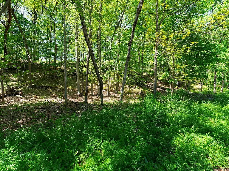 21 Van Dam Rd — Photo 26