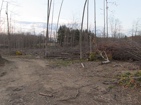 3rd image of Route 88