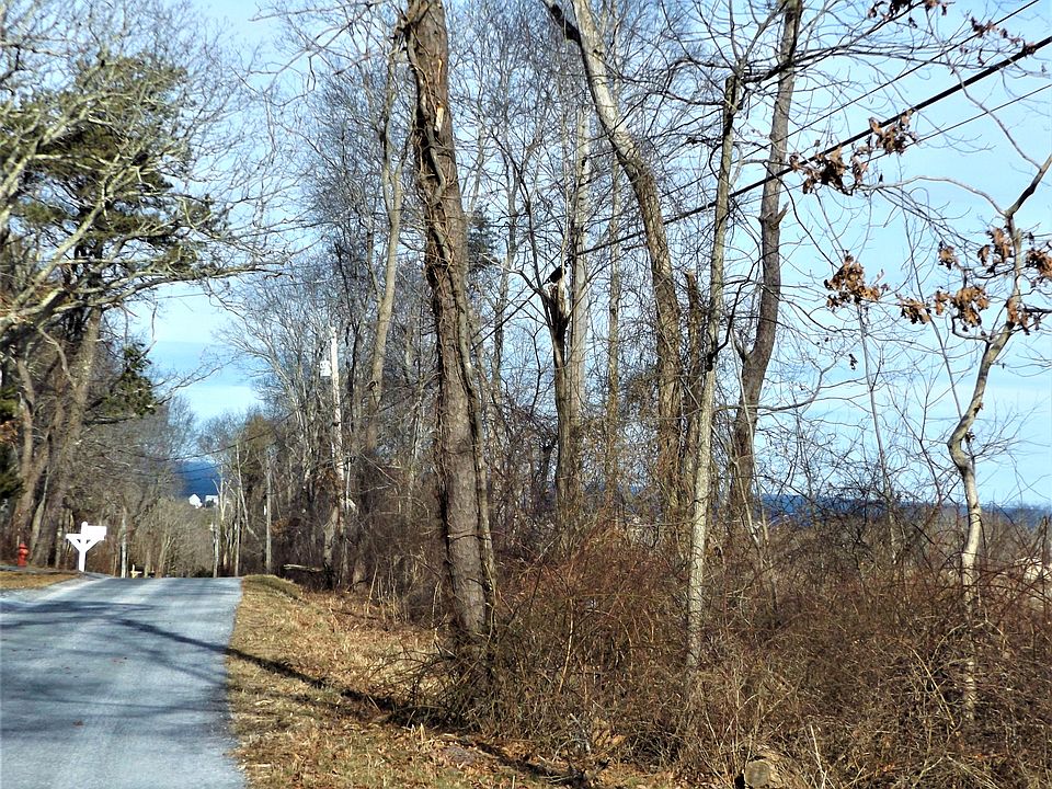 Meander Up Scenic Gully Lane
