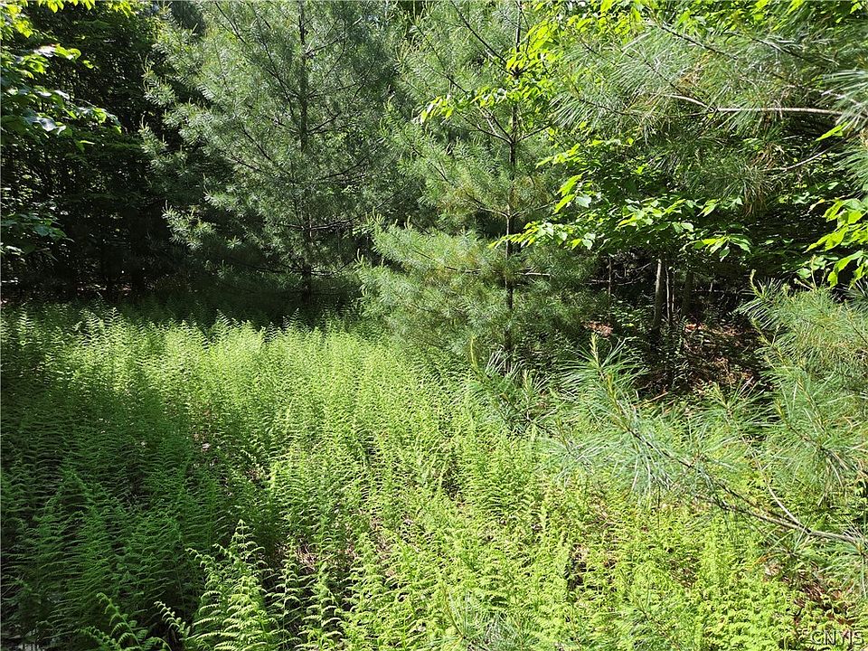 1st image of 7399 Penny Settlement Rd Lot 6