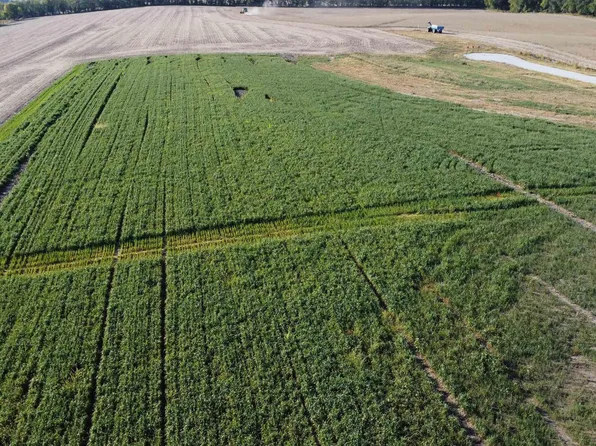 3 N 35th St, Davey, NE 68336