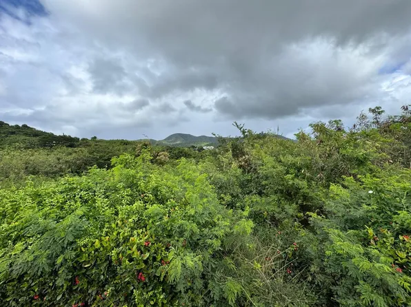 354 Grove Place PR, St. Croix, VI 00850