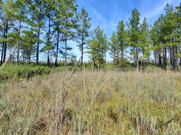 228 Se St, Mayo, FL 32066