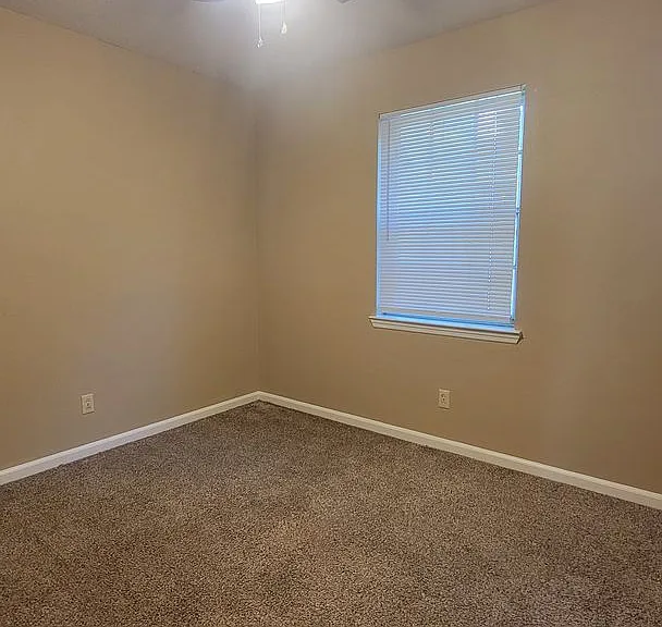 17722 Michael Todd Ln — Photo 19