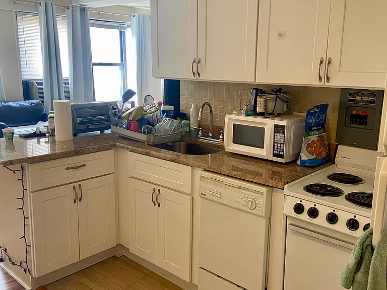 3420 N Lake Shore Dr #12J — Photo 19