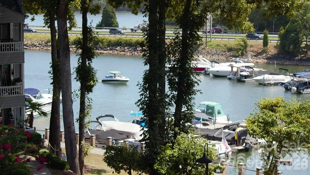 Harborwatch — Photo 1