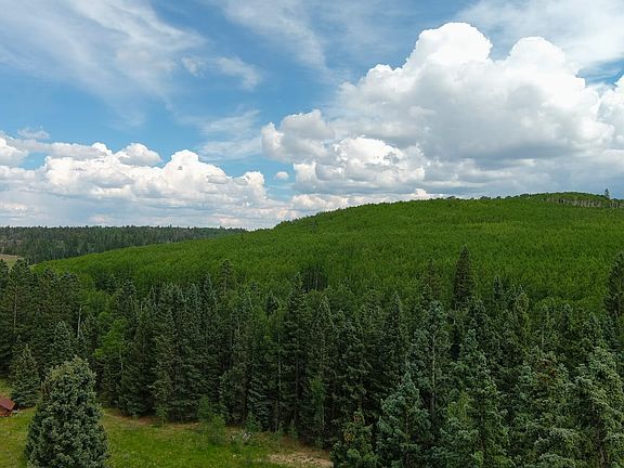 timber