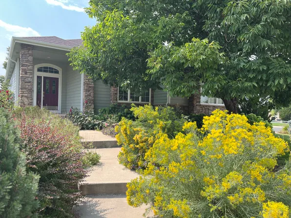 8493 Castaway Dr, Windsor, CO 80528