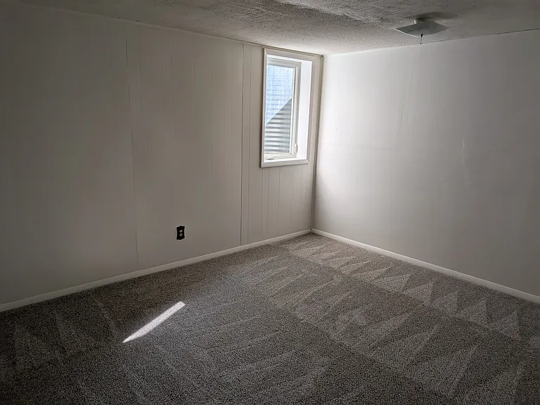 Large basement bedroom