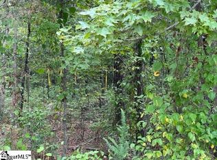 157 Chandler Rd, Pelzer, SC 29669